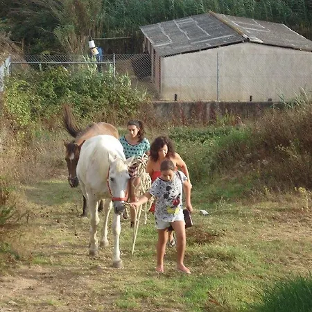 Casa rural Quinta Do Forno *